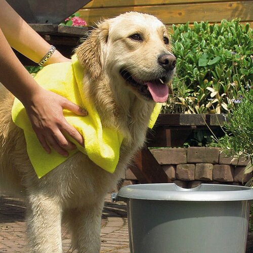 Beeztees Ręcznik dla psa, 50 x 60 cm,  żółty