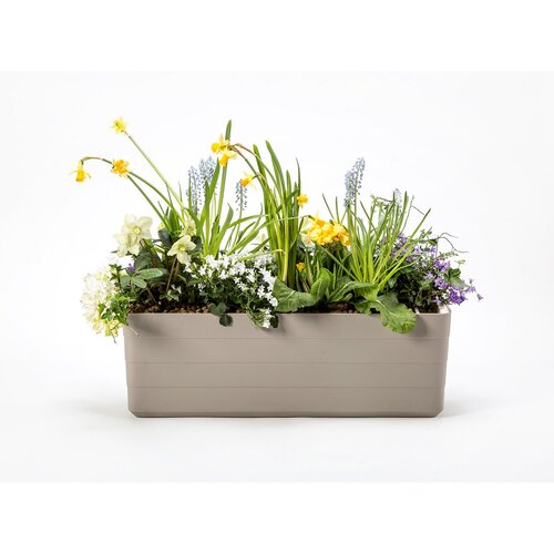 Plastia Samozalivalni sadilnik Berberis 80, siv + masivna kost