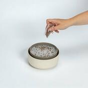 Plastia Microgreens nadomestni gel Ingreen set 10kos