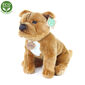 Rappa Plišasti pes Stratfordshire Bull Terrierrjave barve , 30 cm