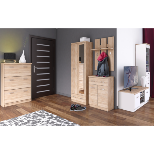 Schuhschrank TOPTY 3K Typ 24, Eiche Sonoma