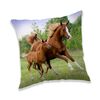 Jerry Fabrics Horse brown párna, 40 x 40 cm