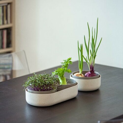 Plastia Velká farma Microgreens+Regrow, slonovinas kavno usedlino