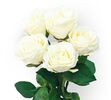 Umělá květina sada bílých růží 5 ks