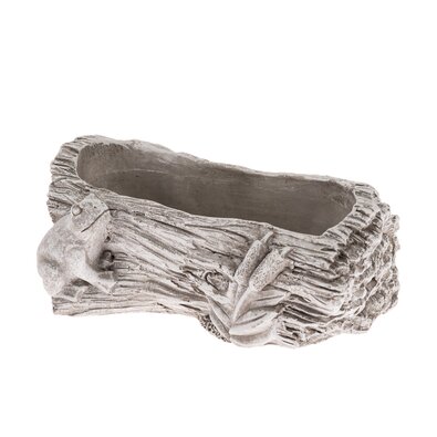 Container din beton pentru jardiniere Trunchi cubroască gri, 12 x 21 cm