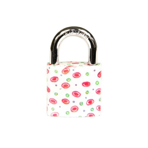 Încuietoare din fontă cu imprimare colorată