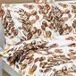 Lenjerie de pat Bellatex bumbac Peeling maro, 140 x 200 cm, 70 x 90 cm