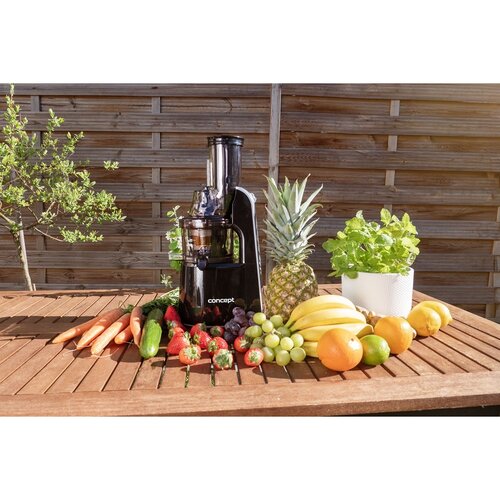 Concept LO7067 gyümölcs, és zöldség szeletelő Home made juice, fekete