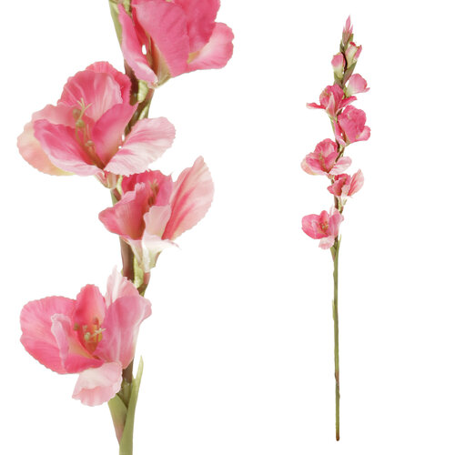 Umetna roža Gladiola roza, 10 x 85 x 10 cm