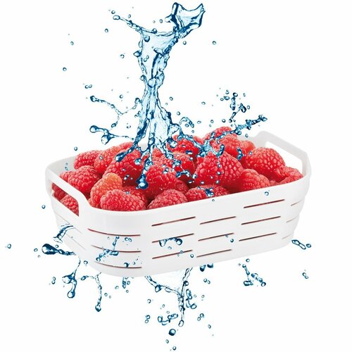 Tescoma 4FOOD Tároló doboz fagyasztóba kosárral  1,0 l