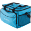 ECG AC 3010 C hladilna torba za avto, 30 l