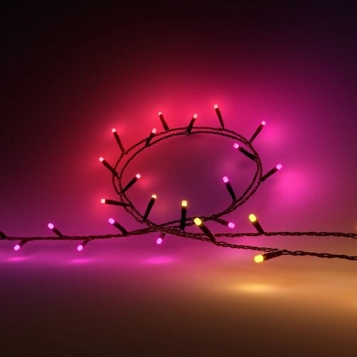 Philips Hue 8720169246867 Łańcuch świetlny LED Festavia, 2x 14 W 2000-6500 K RGB IP54, 40 m