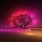 Philips Hue 8720169246867 Łańcuch świetlny LED Festavia, 2x 14 W 2000-6500 K RGB IP54, 40 m