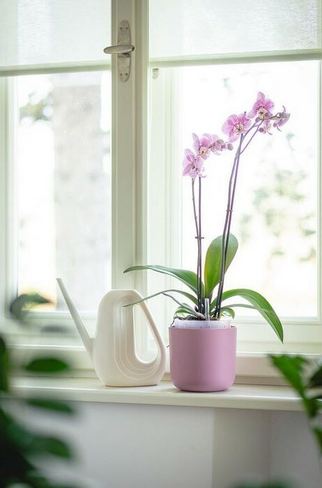 Plastia Samozavlažovací květináč Tolita Air růžová, pr. 19 cm