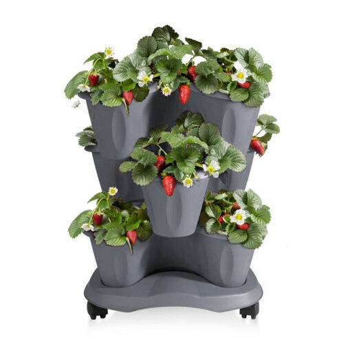 Cvetlična kaskada na kolesih Trifoglio siva, 40 x51 x 40 cm