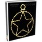 Decorațiune de Crăciun suspendată cu LED-uri Kerstball Star 236 LED, 48 cm