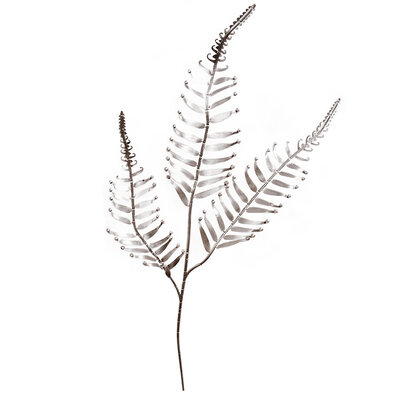 Ramură decorativă mare de ferigă, argint, în. 70 cm