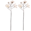 Virágcsokor Magnolia, 2 db, fehér, hóval borítva