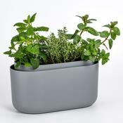 Plastia Samozavlažovací truhlík Tolita šedá, 31 x 16 cm