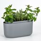 Jardinieră cu auto-irigare Plastia, gri,31 x 16 cm