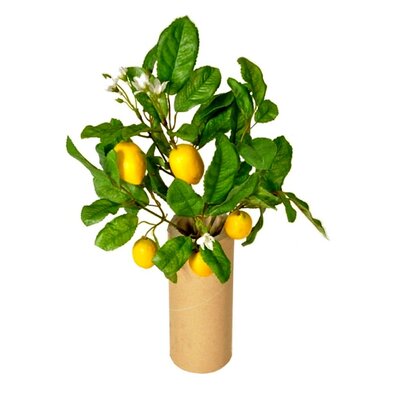 Sztuczne Mini drzewko cytrynowe z owocami, 30 cm