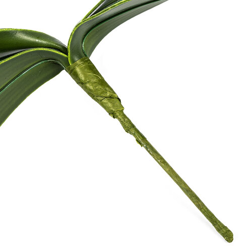 Mű orchidea levél, magassága 20 cm