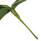 Frunză artificială de orhidee, î. 20 cm