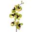 Umělá květina orchidej zelená