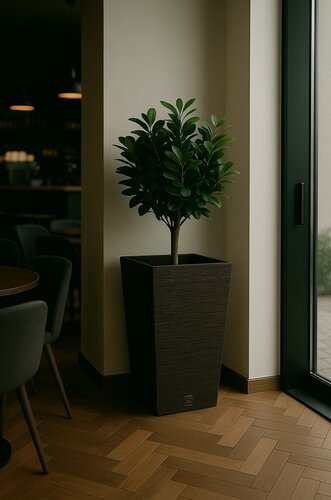 FURU SQUARE ECO WOOD virágtartó betéttel 24 cm, sötétbarna