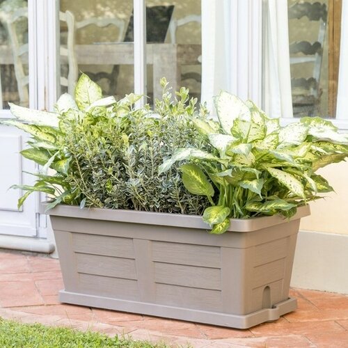 Jardinieră de grădină cu volum mare Bama Legno cappuccino, 80 x 40 x 35 cm
