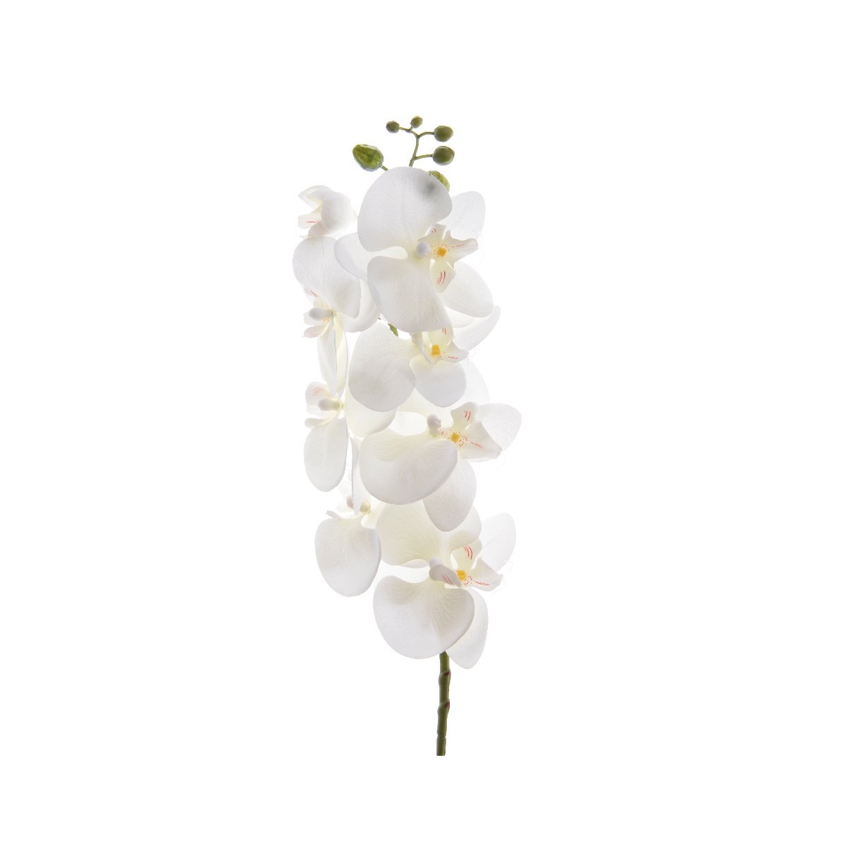Umelá mnohokvetá orchidea biela, 77 cm