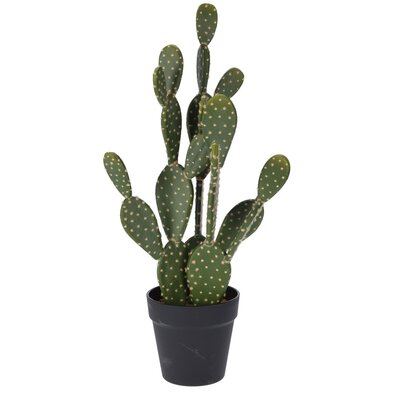 Umělý kaktus Hayden, 54 cm