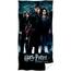 Badetuch Harry Potter Lumos Maxima, 70 x 140 cm