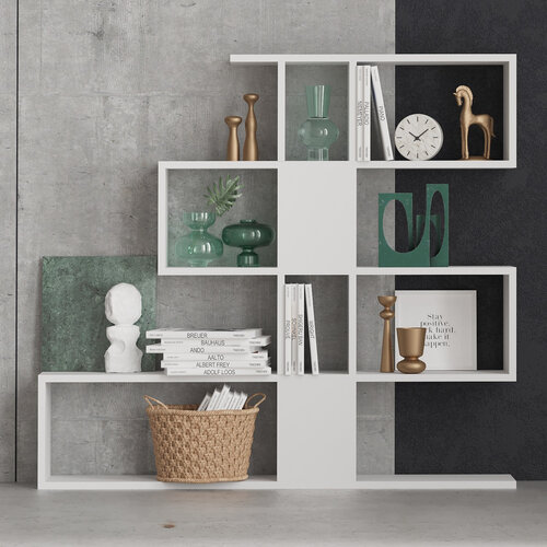Knihovna Karlin White