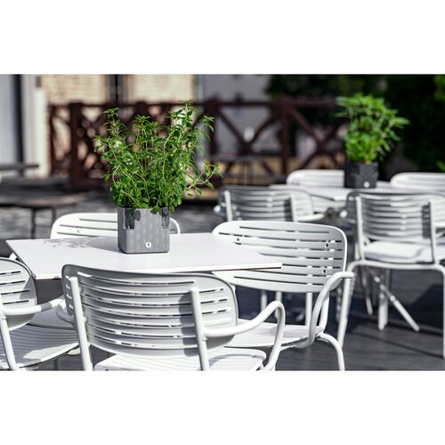 Flower Lover Pametna lončnica za zelišča Cobblesiva, 14 cm