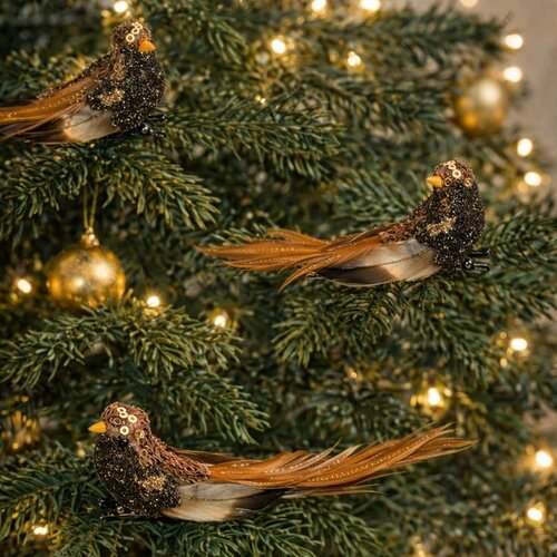 Komplet ptic na sponki, črno-rjava, 3 kos