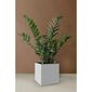 Flower Lover Selbstbewässernder Blumentopf Cubico Stone weiß, 27 cm