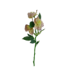 Floare artificială Hellebores verde-roz, 36 cm