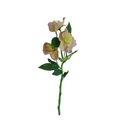 Umetno cvetje Hellebores zeleno-rožnate barve, 36cm