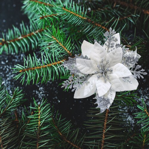 Різдвяна прикраса Poinsettia з затискачем  срібляста, набір з 6 штук