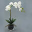 Umělá květina orchidej v květináči bílá