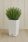 Ghiveci de flori FURU SQUARE 24 cm, alb