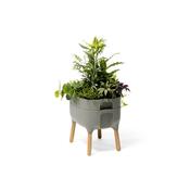 Recipient scund de cultivare Plastia Urbalive, gri