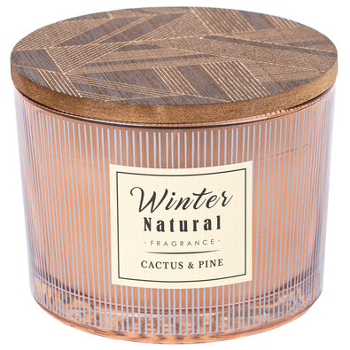 Lumânare în sticlă Winter natural Cactus Pine, 11 x 8,5 cm