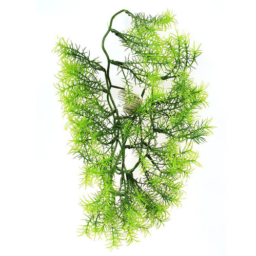 Poza Floare artificiala Asparagus, 40 cm