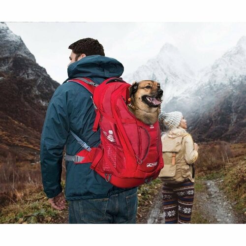 Kurgo G-TRAIN K9 Sportrucksack für Hunde, Rotrot,