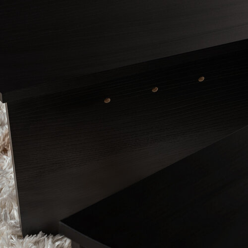 Couchtisch Orion Wood Black