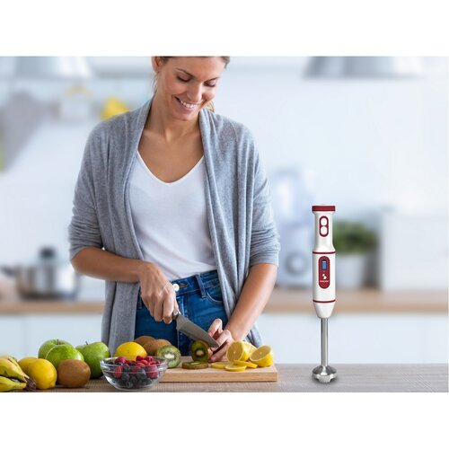 Beper P102FRU300 Mixer vertical cu încărcare USB