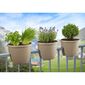 Gardenico Balconia Balkonpflanztruhe auf Geländer OVI Anthrazit, Durchmesser 30 cm