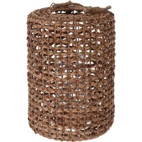 Koopman Lucerna Ermia, 28 x 39 cm